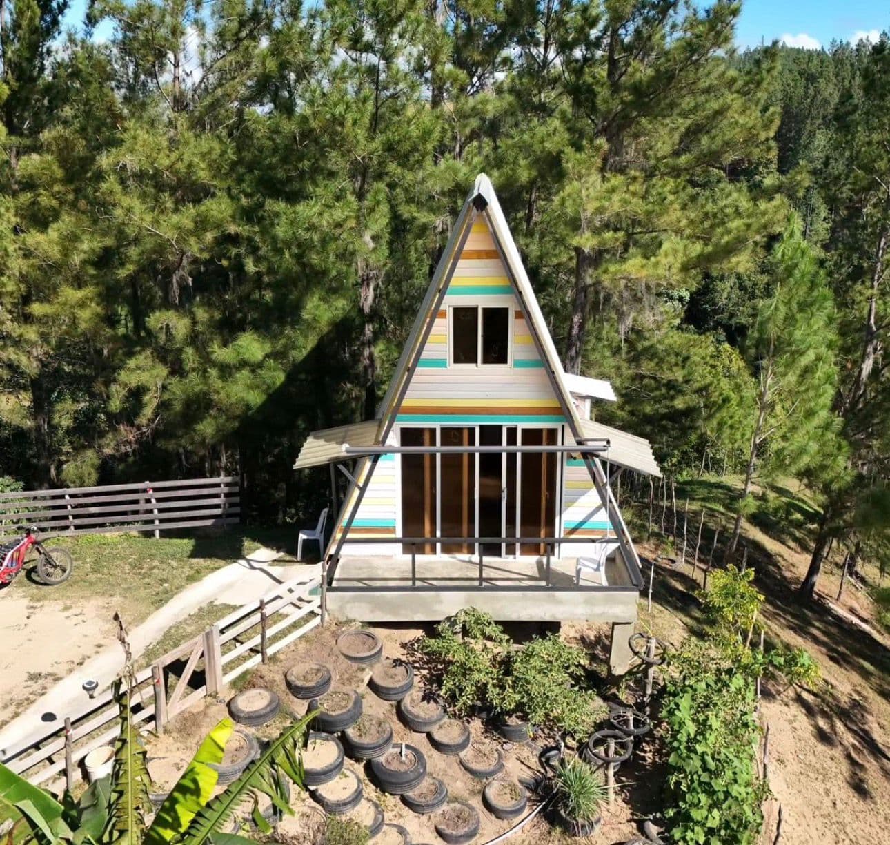 Jungla Vida Paisaje