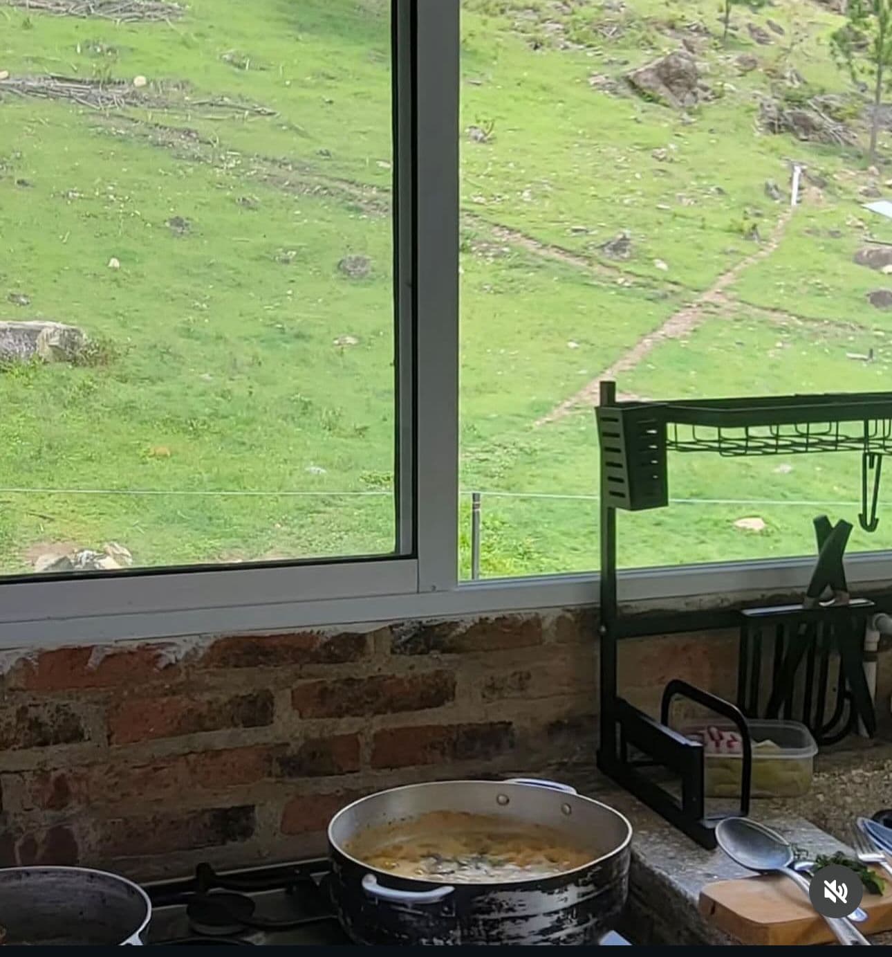 Jungla Vida cocinado