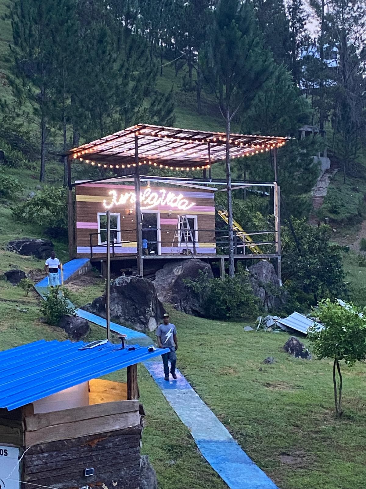 Paisaje de Jungla Vida