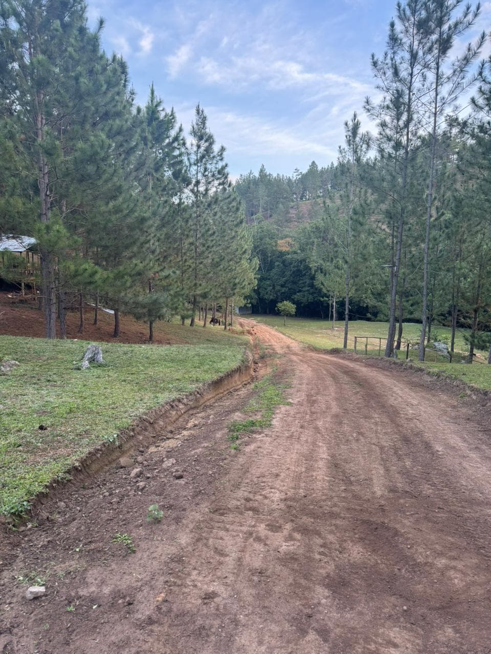 Nature-Based Recovery